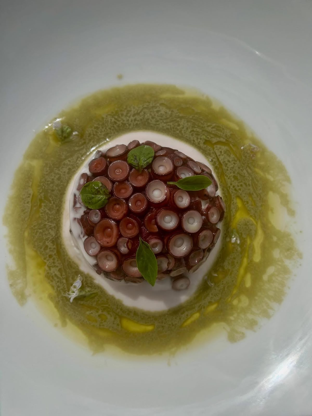 Tortino di polpo con crema e olio al basilico
